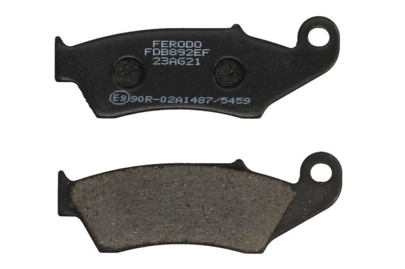 1697368785 קדימה20בטא.jpg