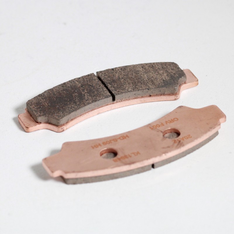 1698139844 סנרל 1.jpg 1698139844 סנרל 1.jpg