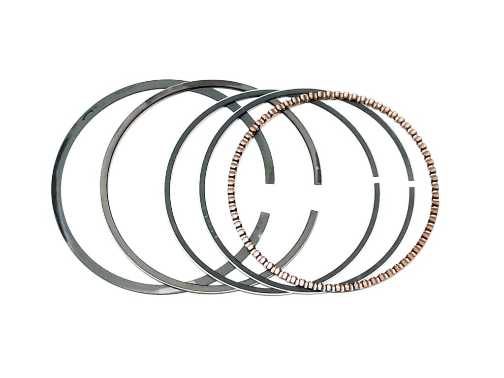 1734692770 רינגים.jpg