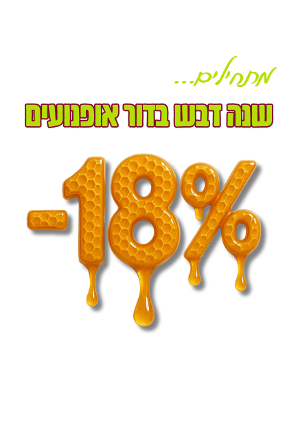 תשפו שקוף