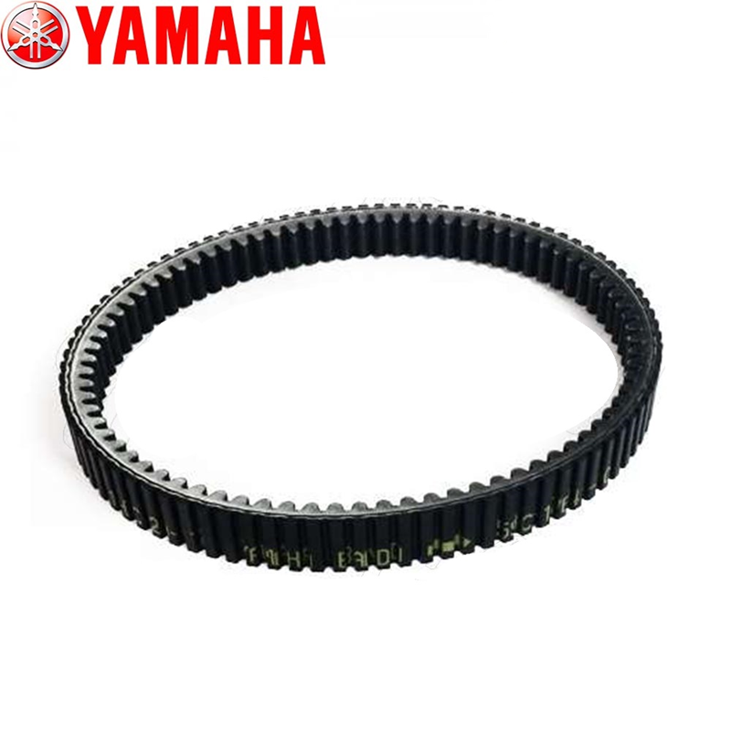 1763376679 רצועה20וריאטור.png