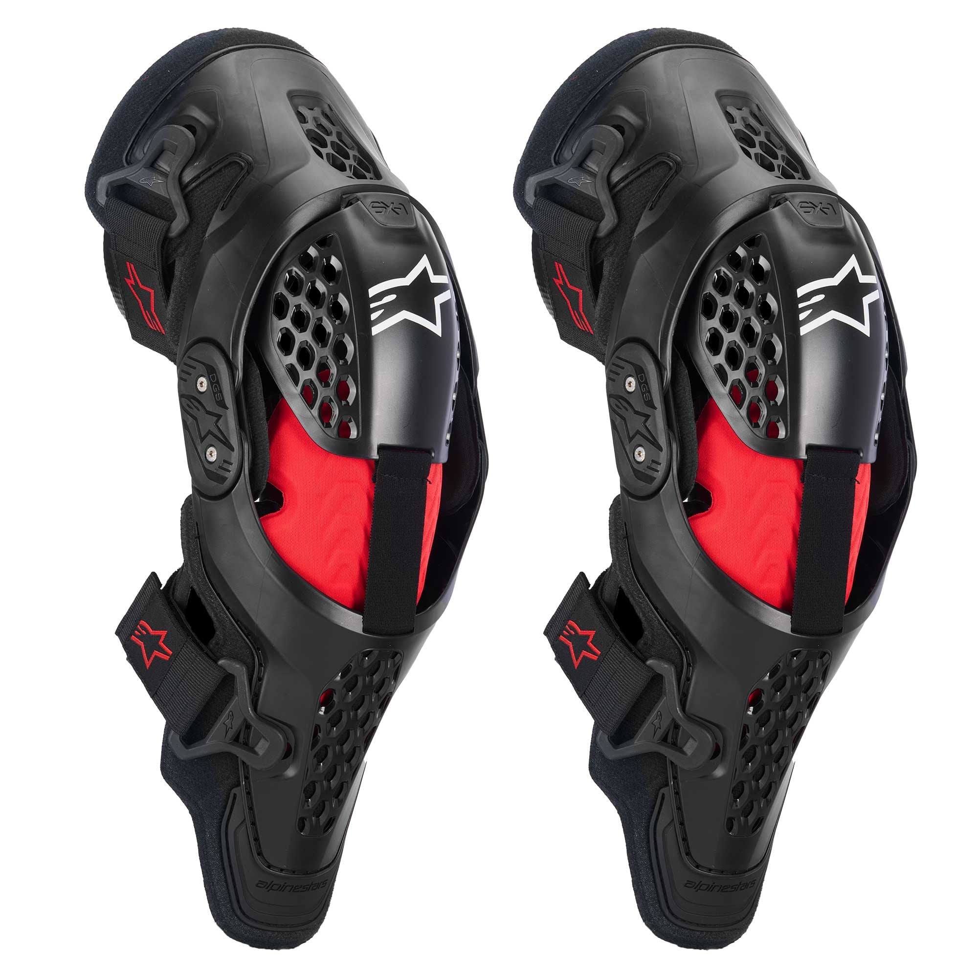 1763647775 אלפינסטר.jpg