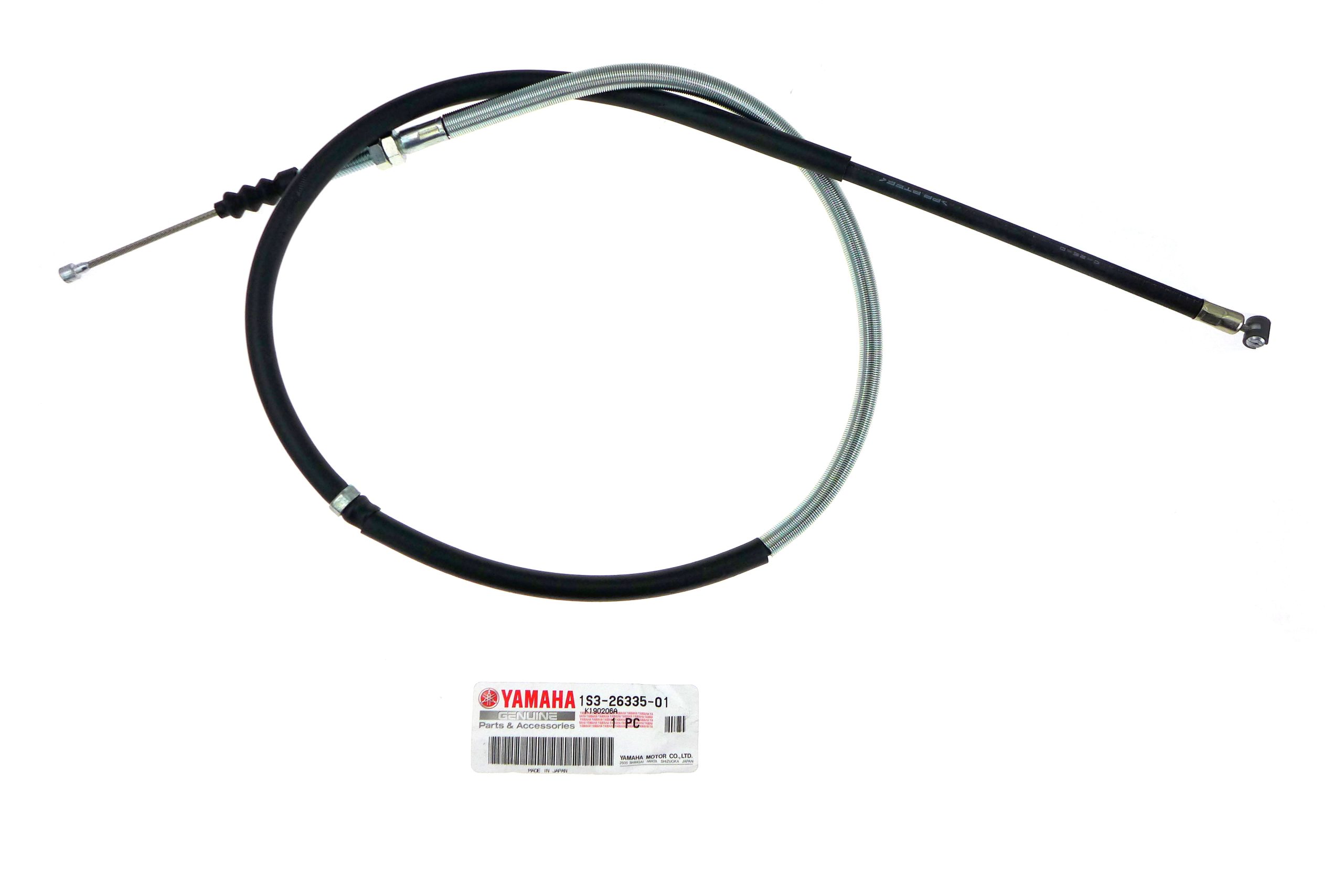 1763890840 רפטור.jpg