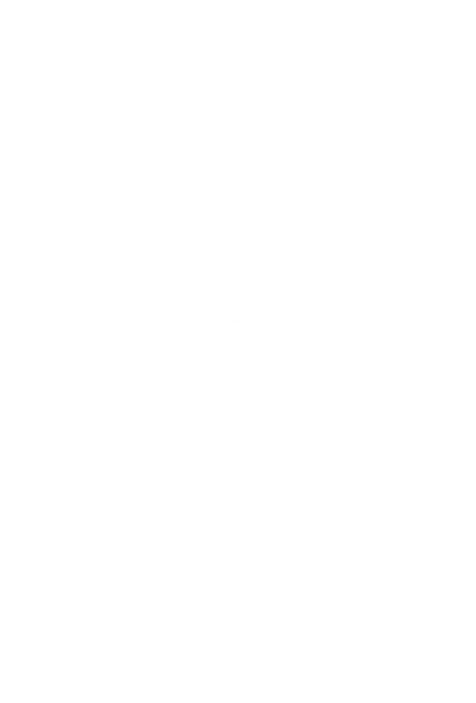 נקודה זעירה